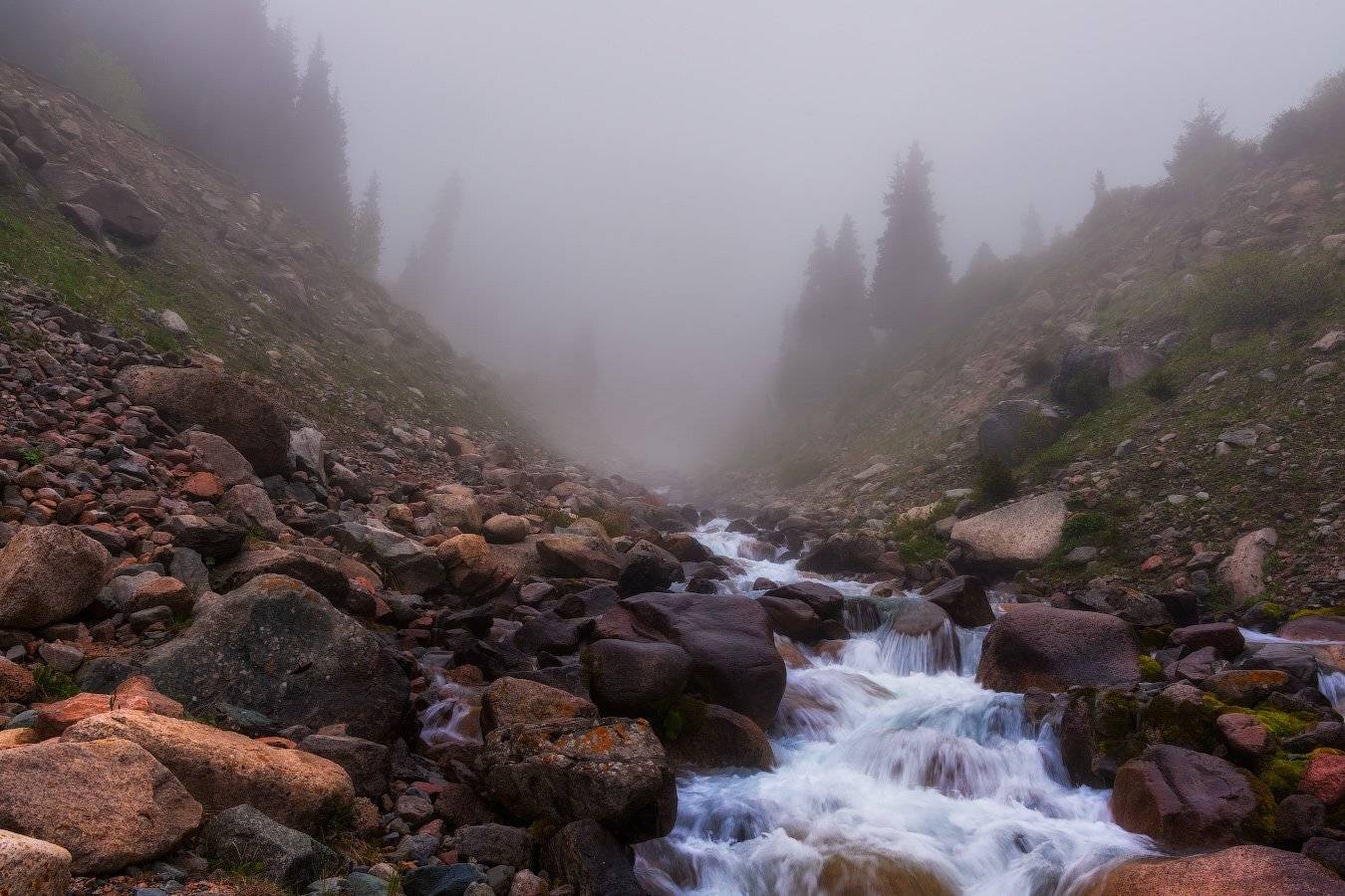 Горы, Река, Туман, Туюк-су, Утро, Ольга Кулакова