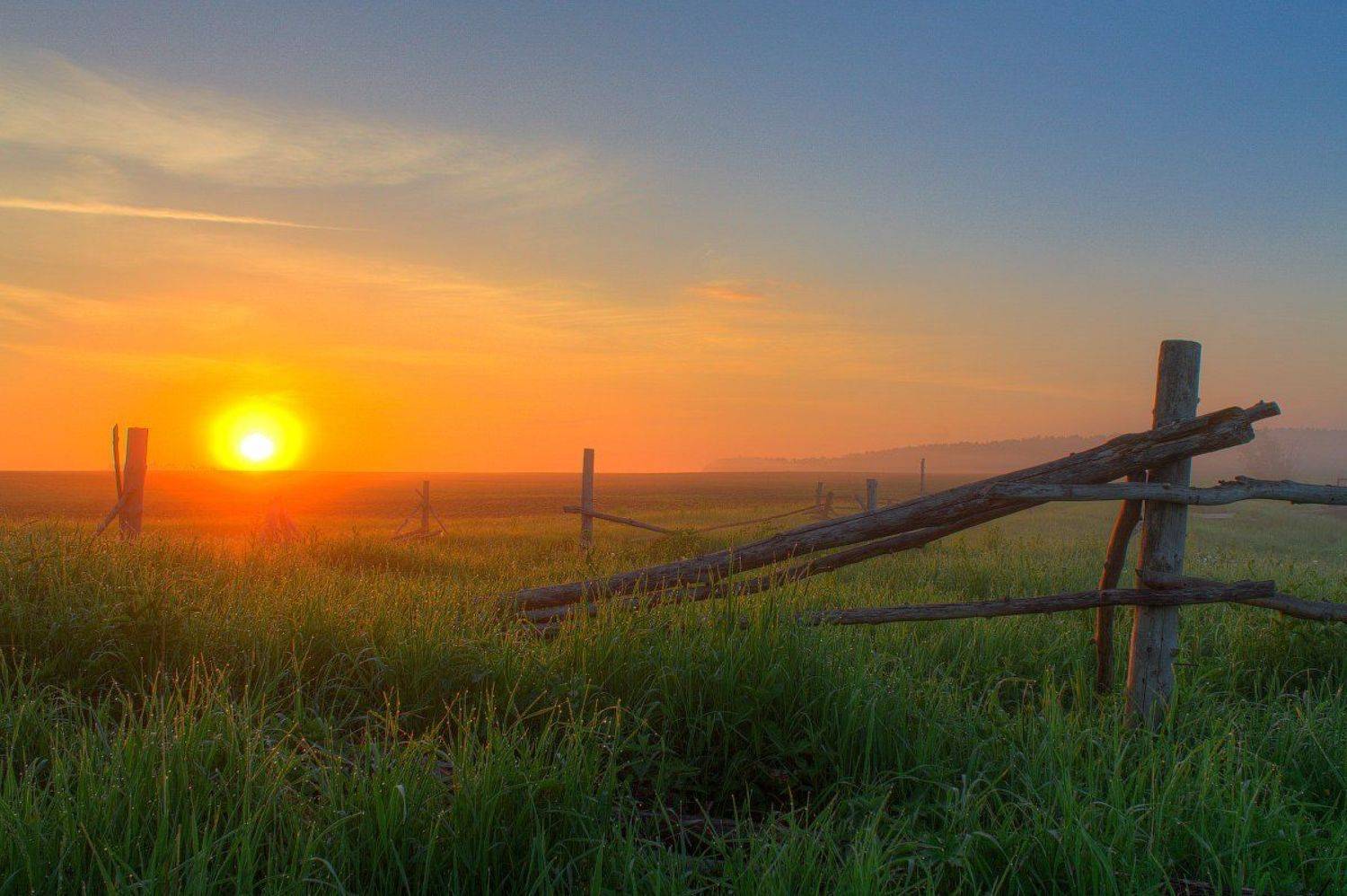 лето, небо, рассвет, солнце, трава, туман, Артём Колупахин