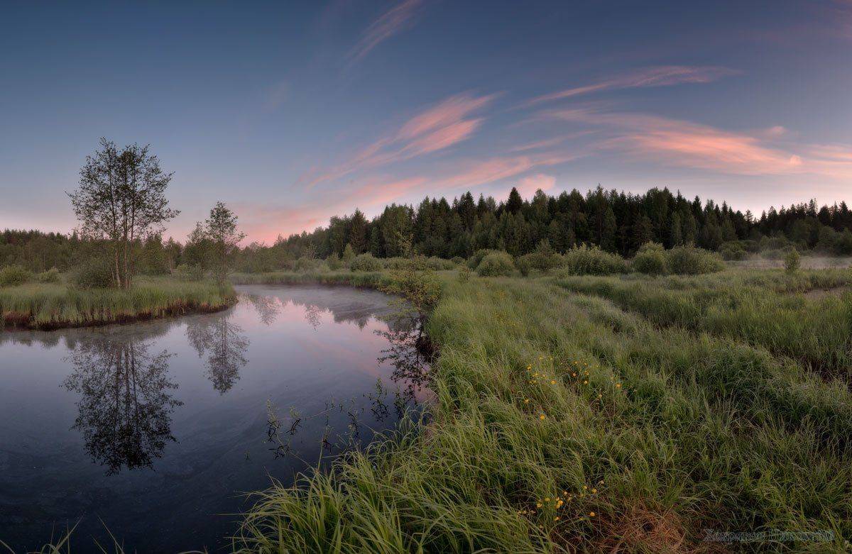 , Хохряков Николай