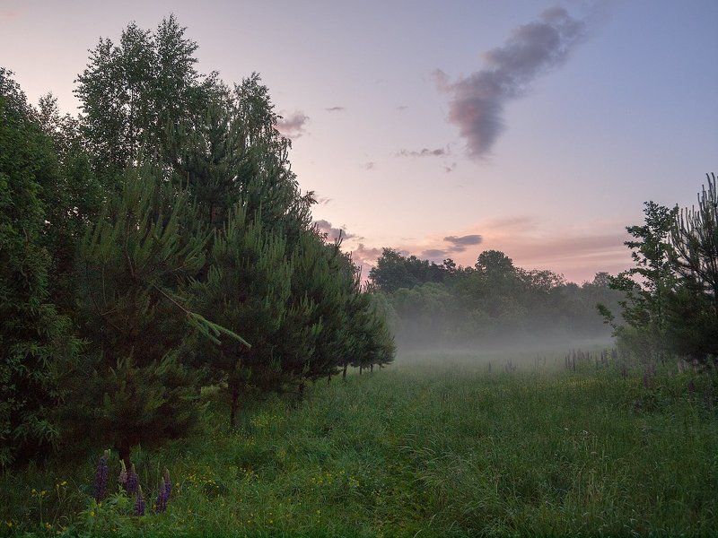 утро на Уче фото превью