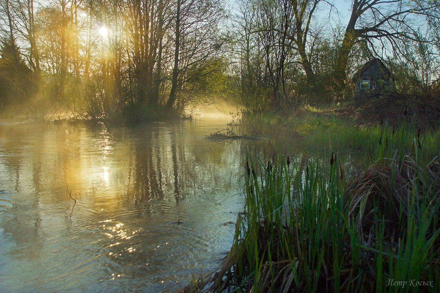 алоль, Петр Косых