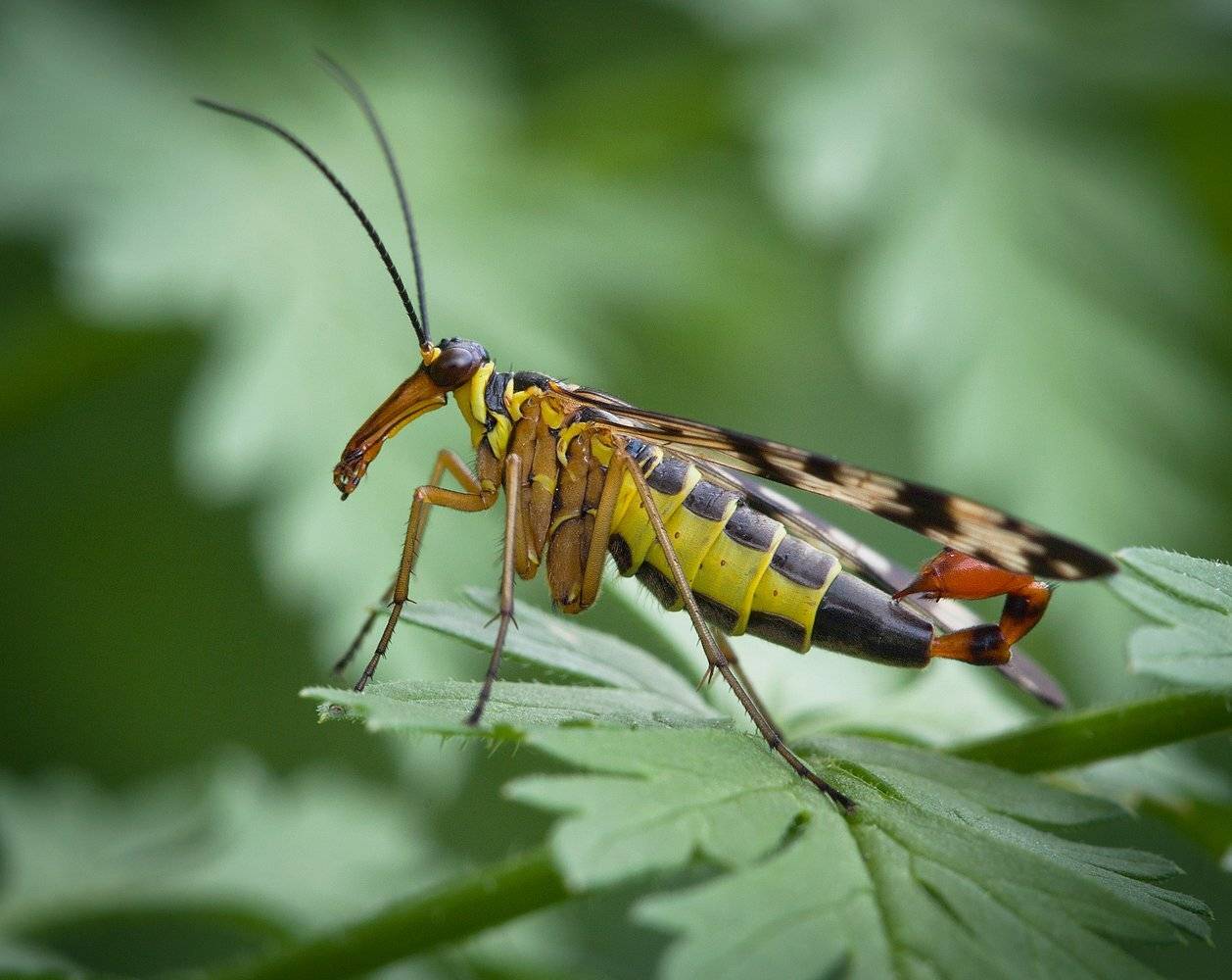 , Андрей Канышев