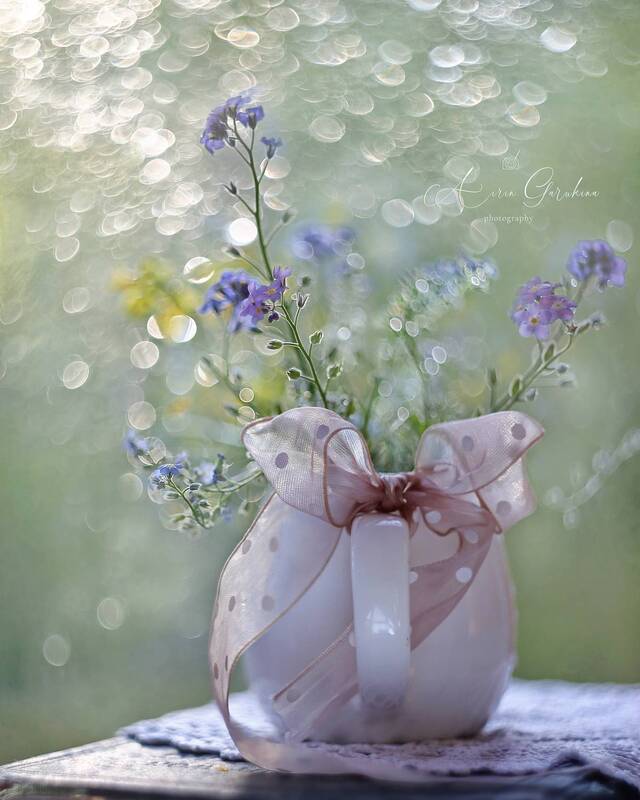 Да прибудет с нами СВЕТ! фото превью