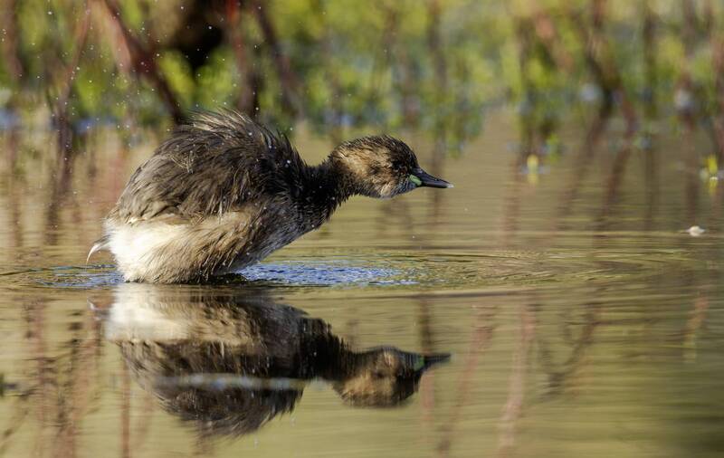 На старте ... фото превью