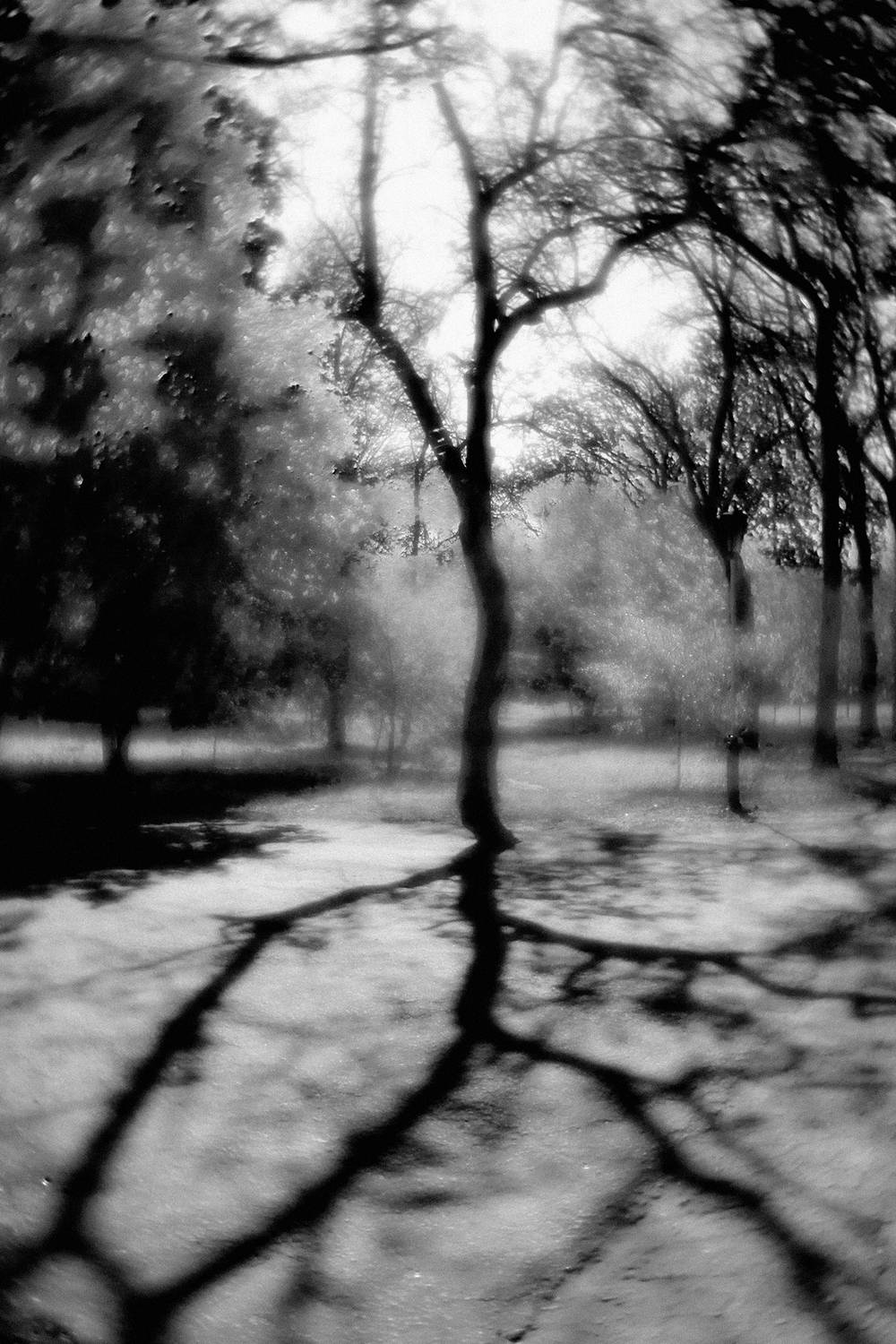 , Андрей Петросян