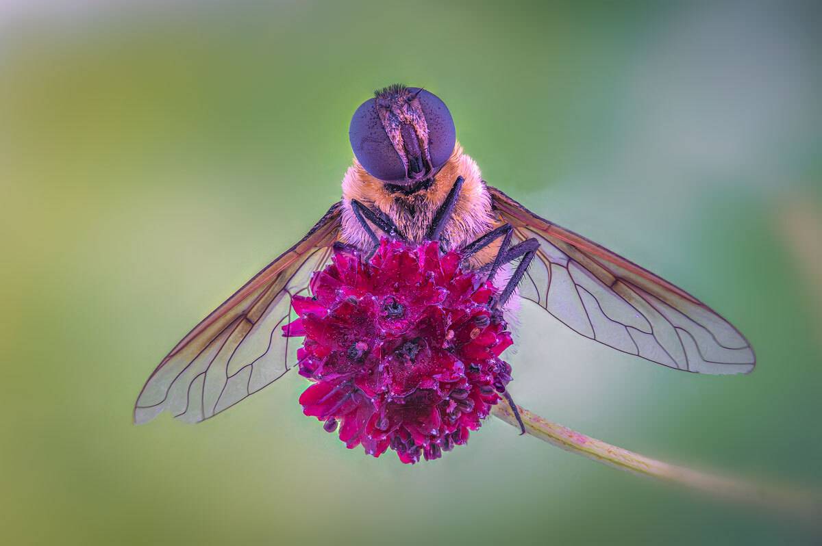 , Сергей Брагин
