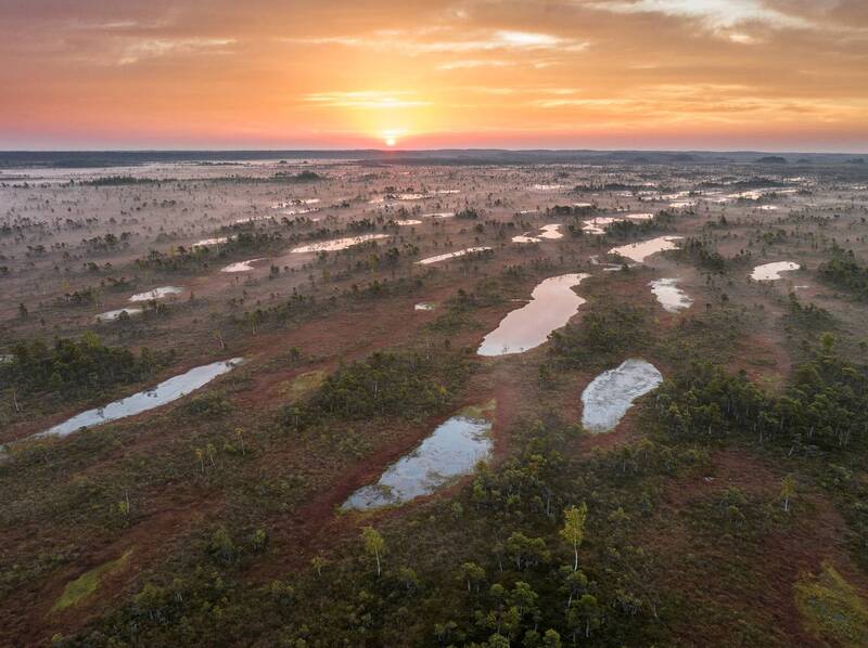На рассвете фото превью