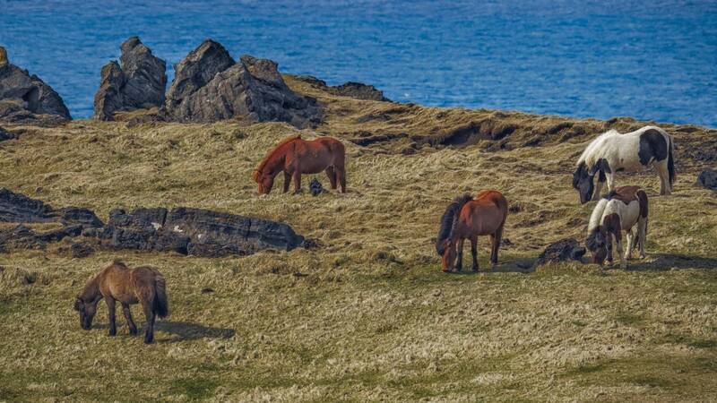 На фоне моря фото превью