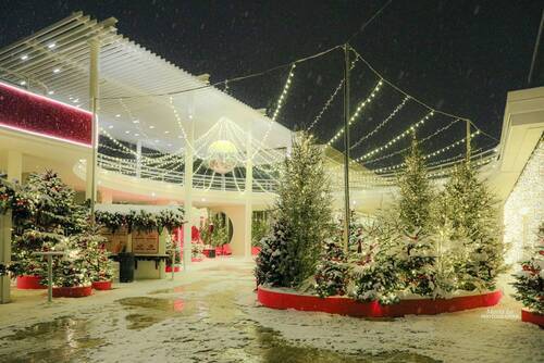 Зима в городе