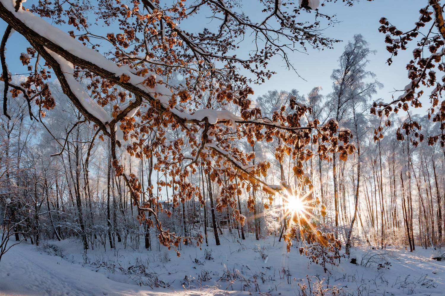 , Владимир Ноздрачев