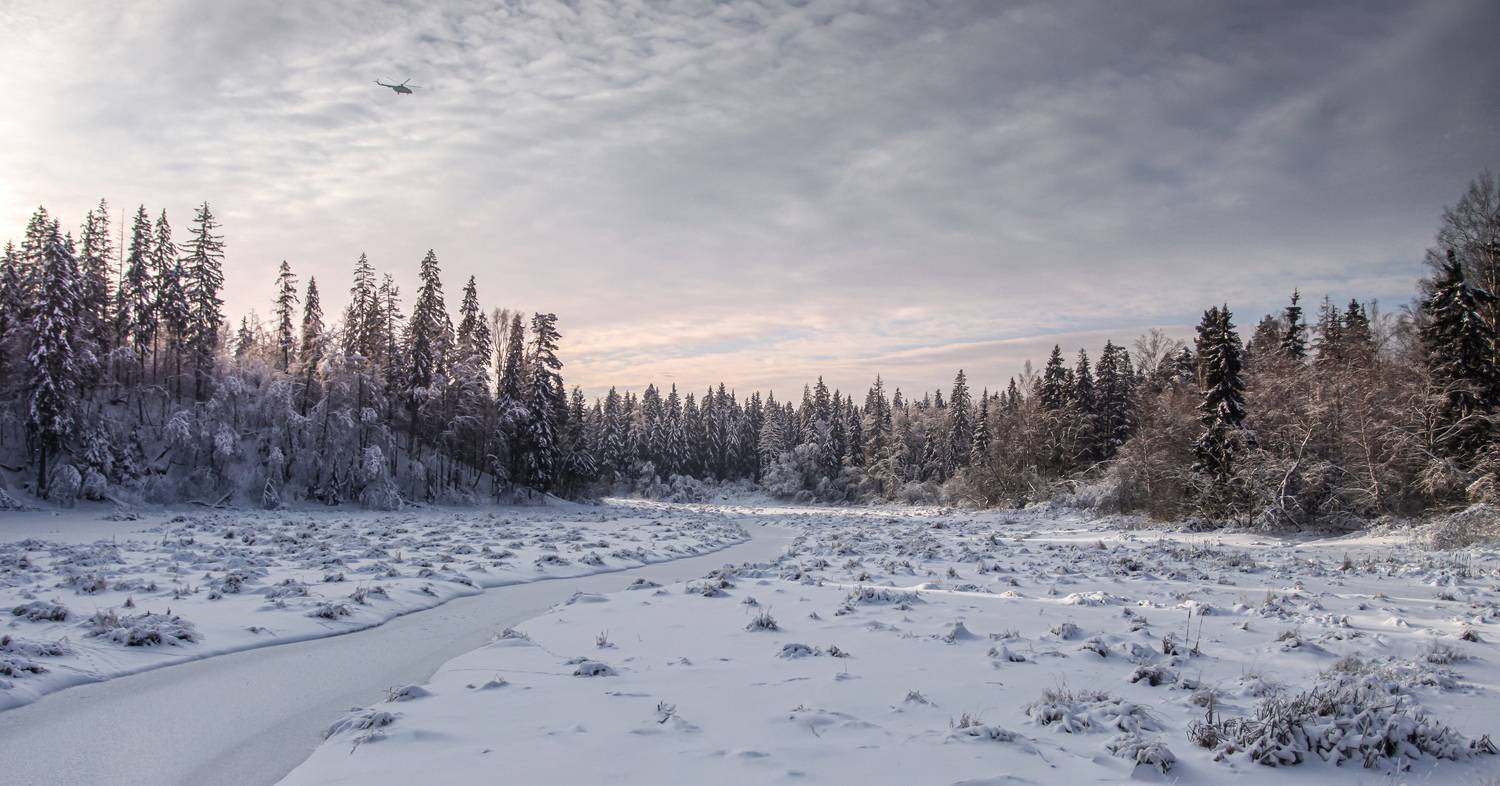 Московская обл, Зеленько Дмитрий
