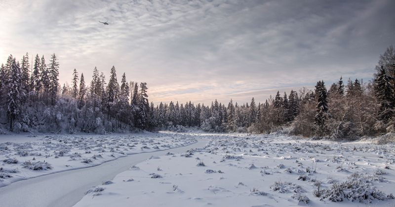 Московская обл  фото превью