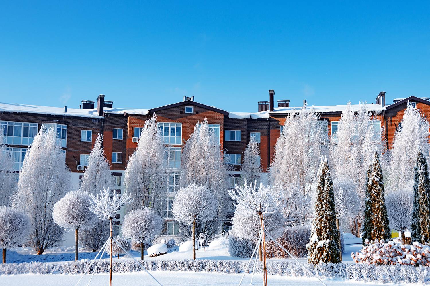 , Владимир Ноздрачев