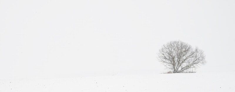 Зимняя идиллия фото превью