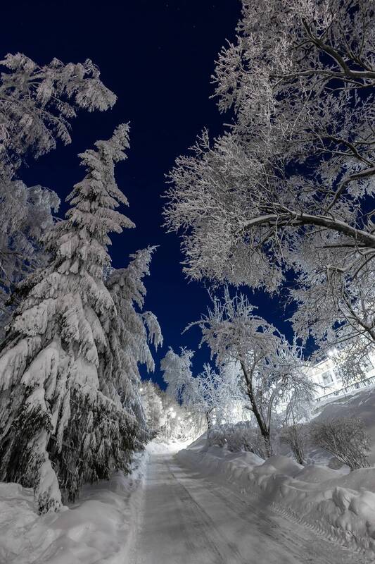 саратов, природа, октябрьское ущелье Морозный вечер в Октябрьском ущелье фото превью