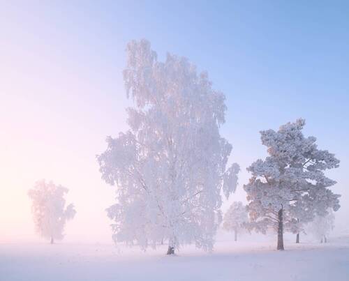 Солнечным днём. /  On a sunny day.