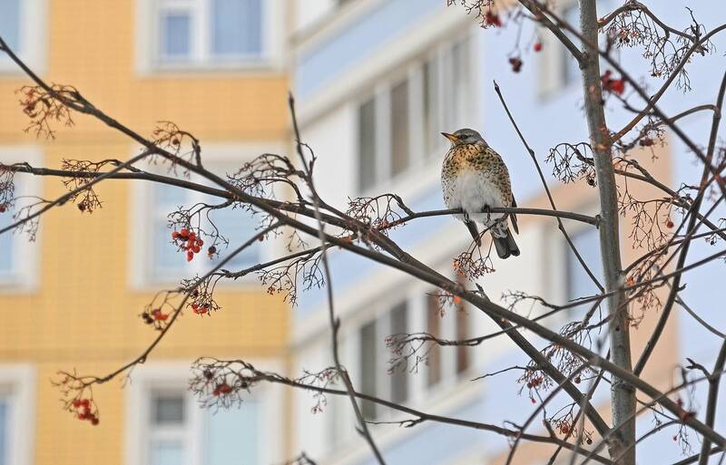 Кто не успел, тот опоздал фото превью