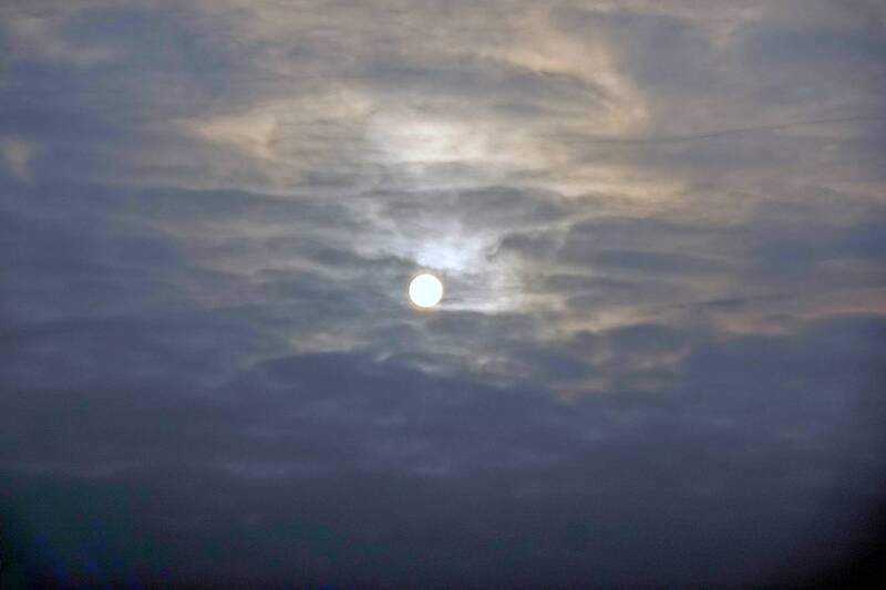 Пасмурный день фото превью