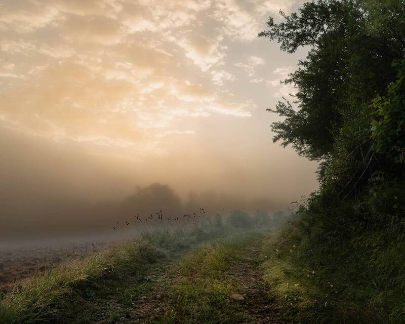 Утренний туман! фото превью