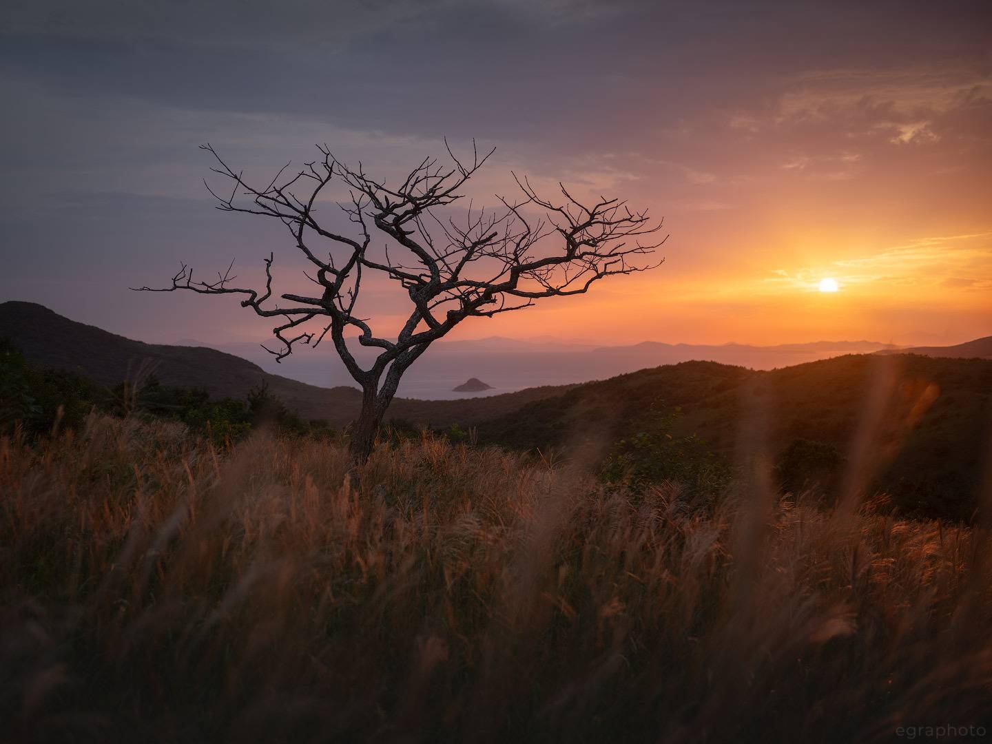 russia, primorye, primorsky krai, far east, россия, приморский край, приморье, дальний восток, японское море, japan sea, полуостров гамова, Рябенький Александр