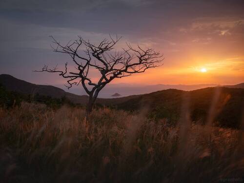 Приморье - на полуострове Гамова