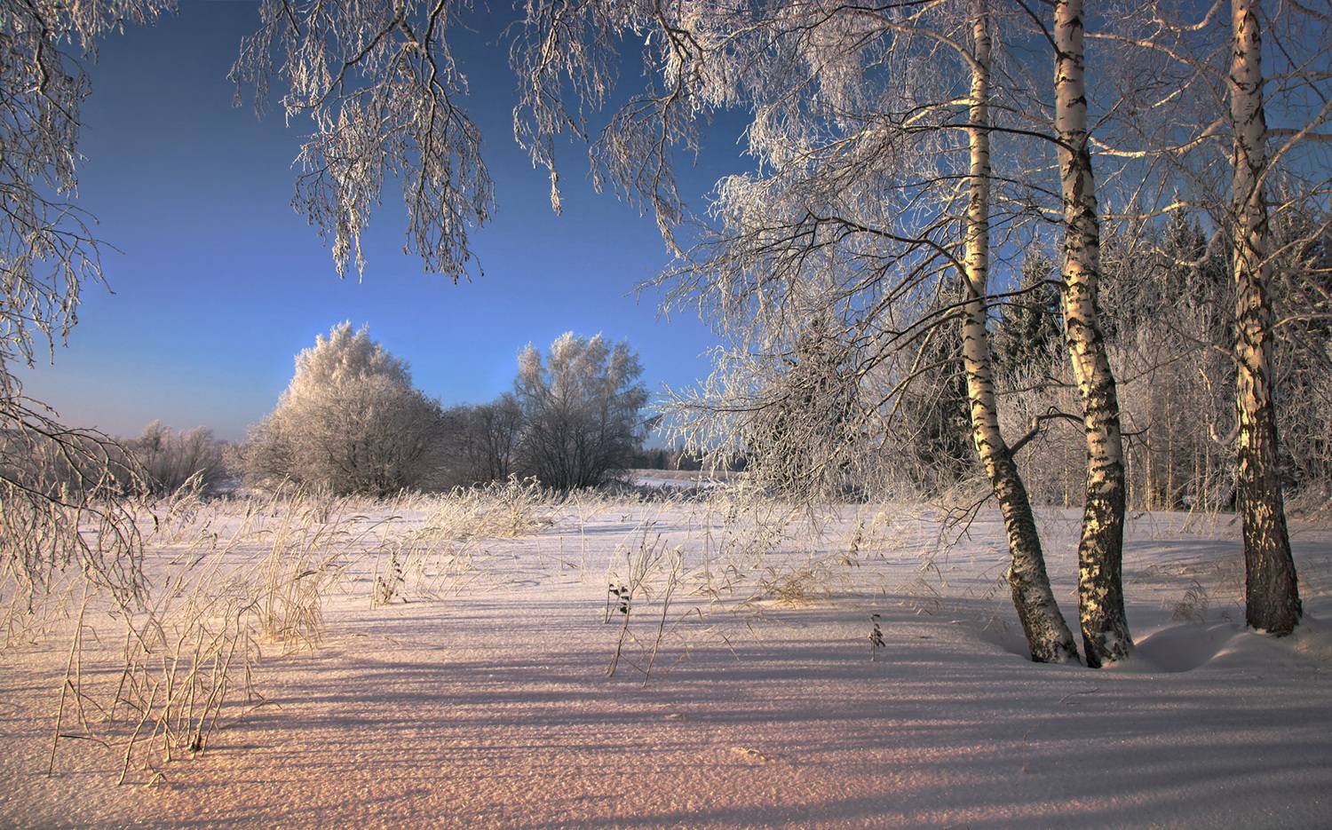 , Алексей Хахлов