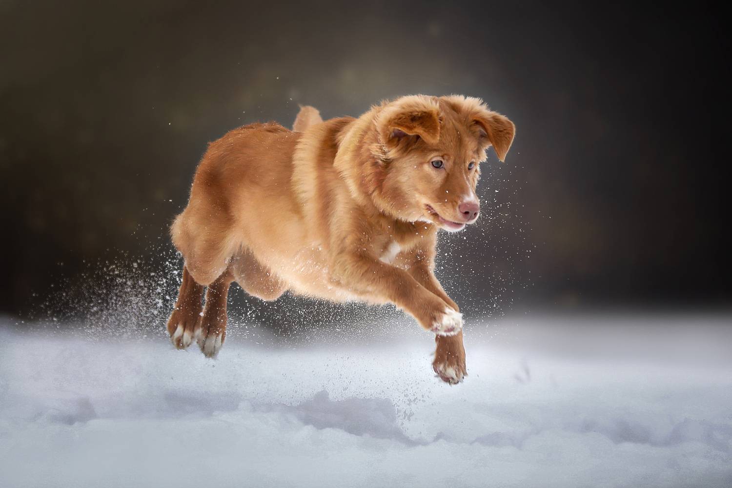 , Андрей Ершов