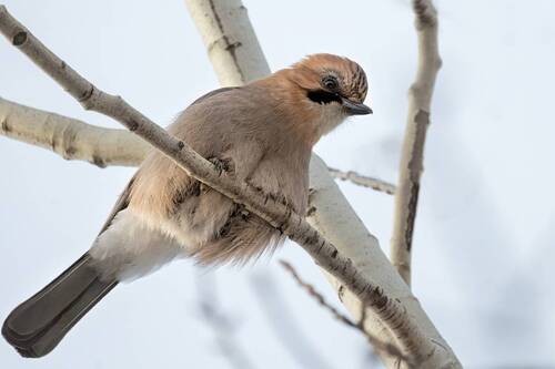 - Что у тебя там?