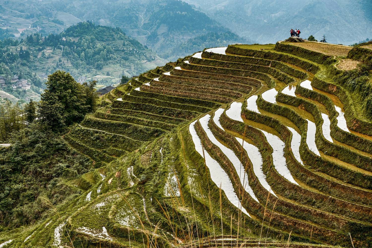 , Низовцев Сергей