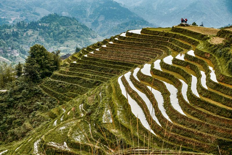 Рисовые террасы Лунцзи фото превью
