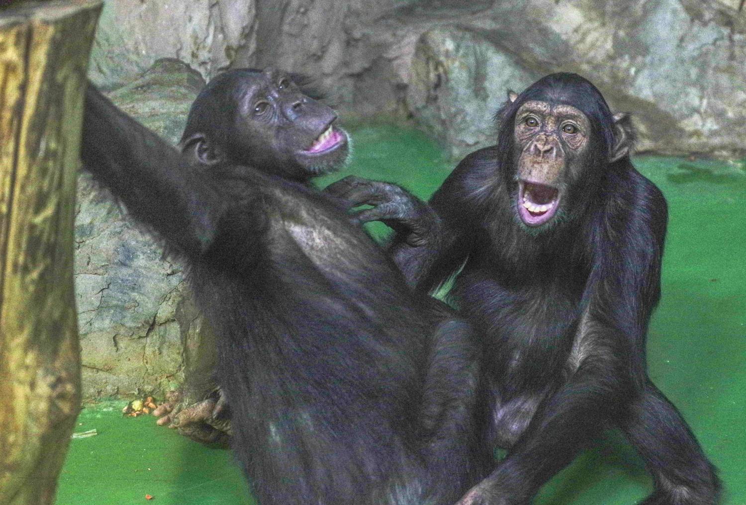 , Михаил Измайлов