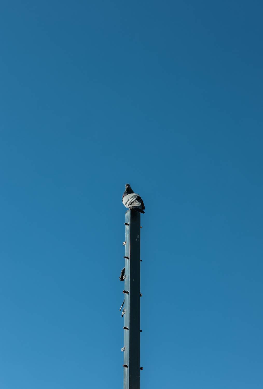 , Костыря Владимир