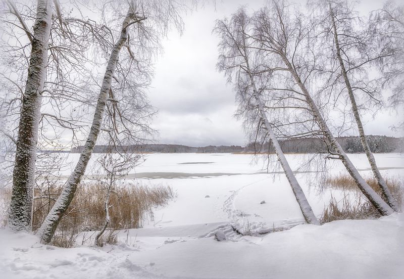 *** фото превью