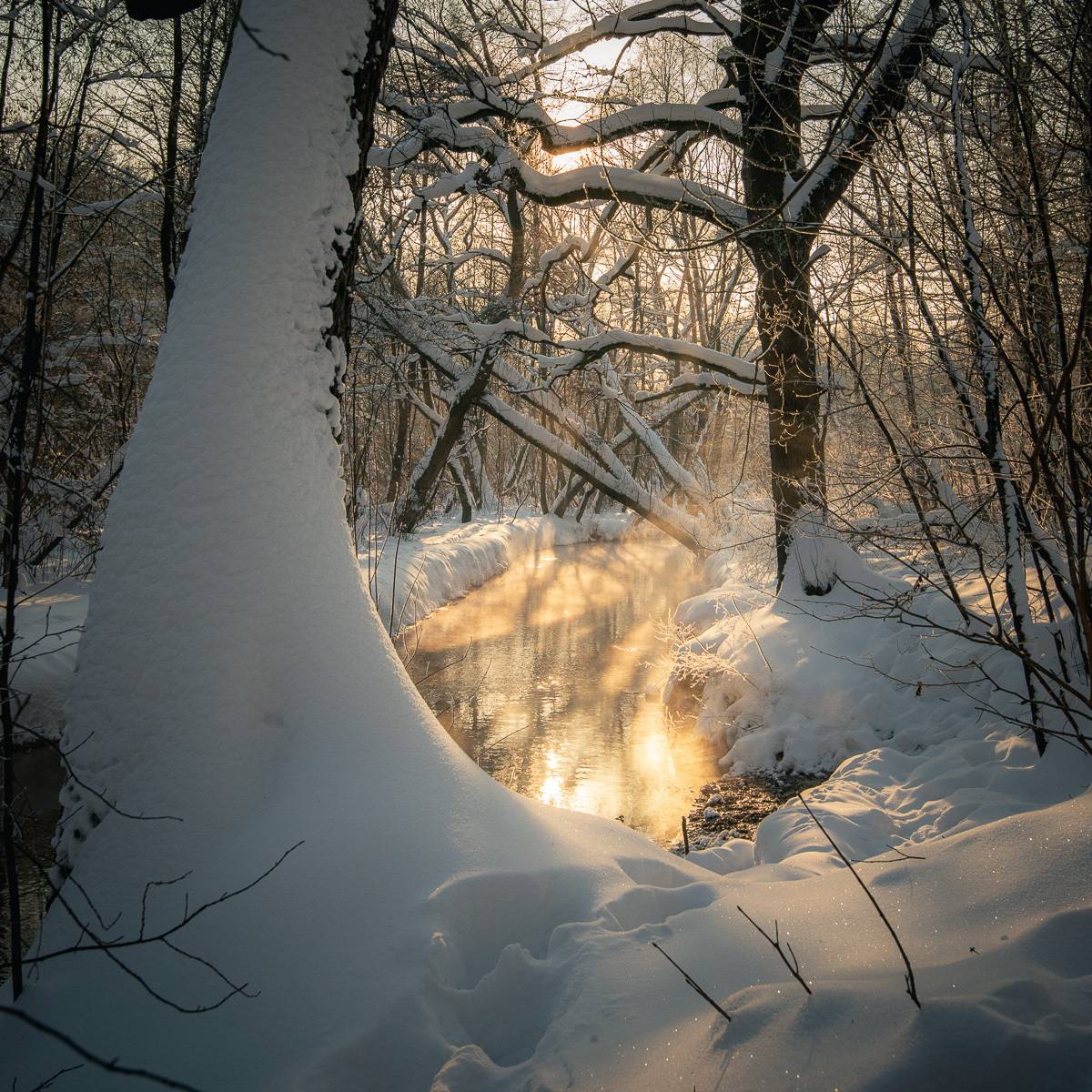 kuzminki, moscou, moscow, russia, hoar-frost, nature, park, river, snow, steam, water, winter, кузьминки, москва, пономарка река, россия, чурилиха река, вода, зима, иней, пар, парк, погода, природа, река, снег, солнечно, sunny, Ковалёв Максим