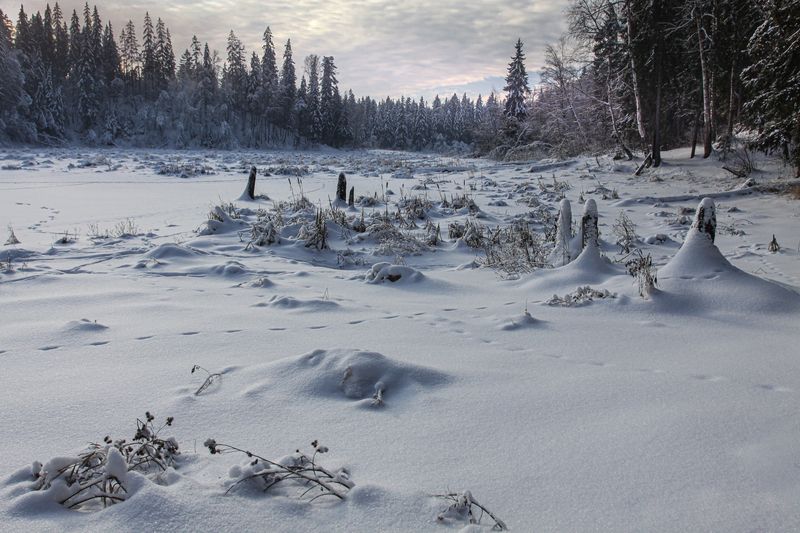 зима первый снег Зима пришла... фото превью