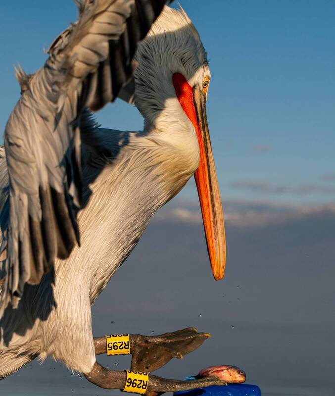 Момент перед пиром фото превью