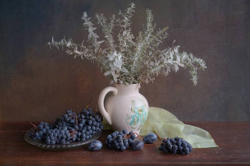 С полынью и виноградом фото превью