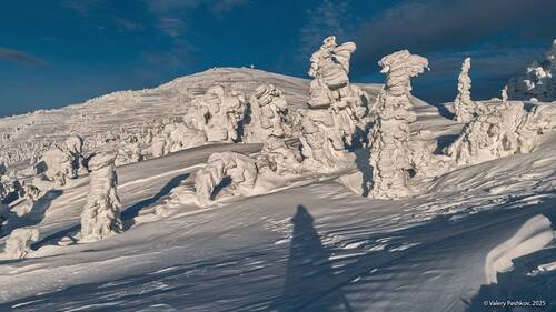 На склонах горы Курган