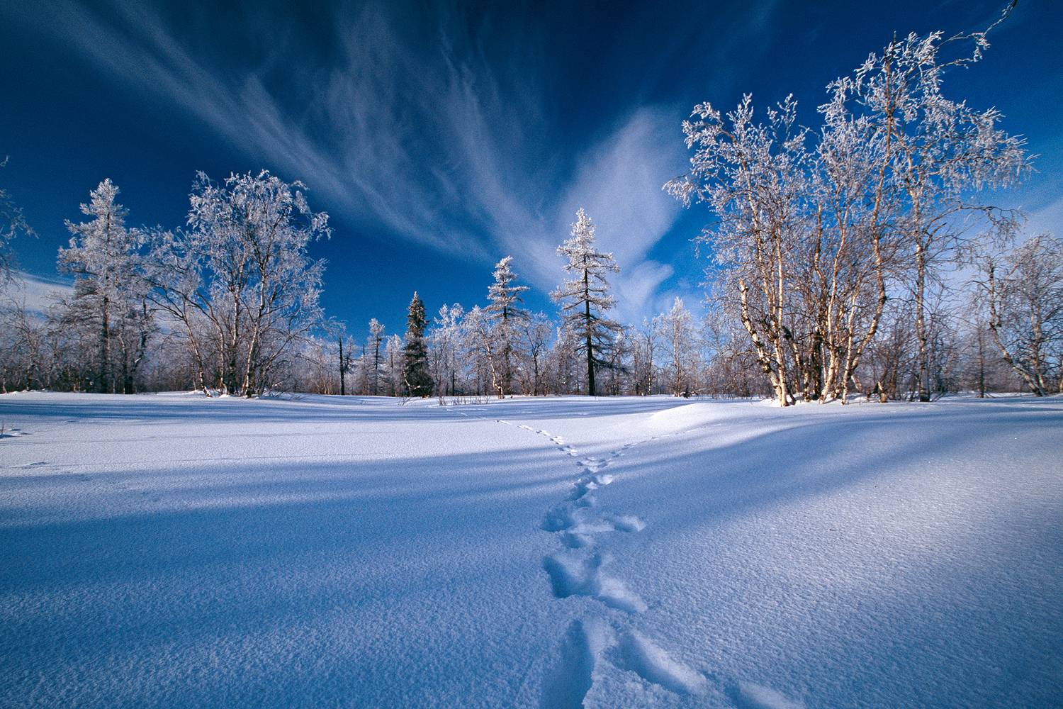 , Геннадий Литвинов