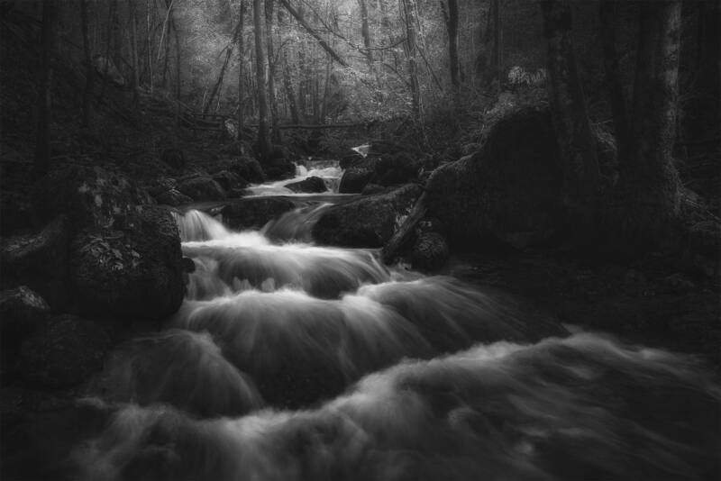 Visions of Eden фото превью