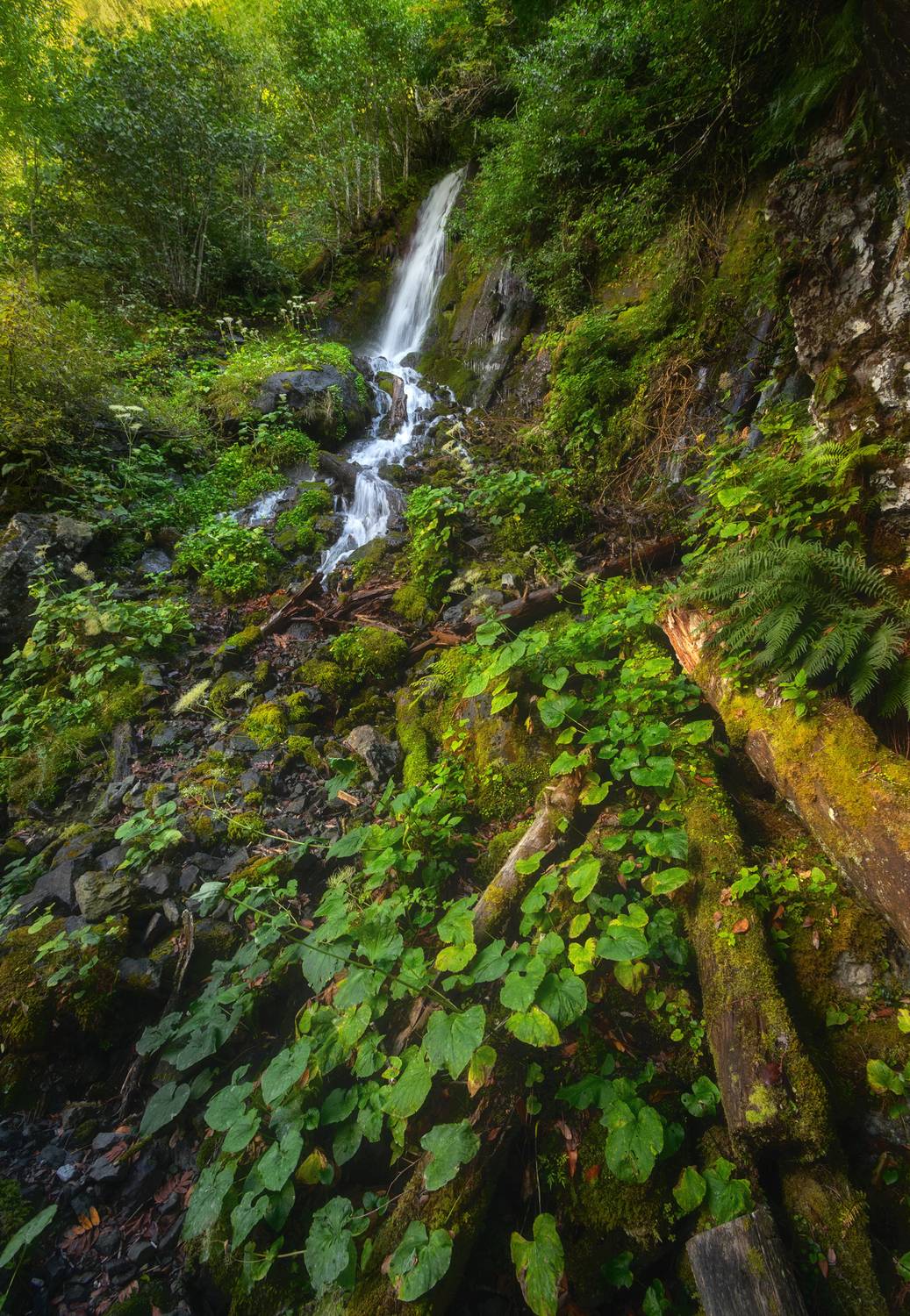 лес, водопад, горы, осень, абхазия, Растворов Игорь