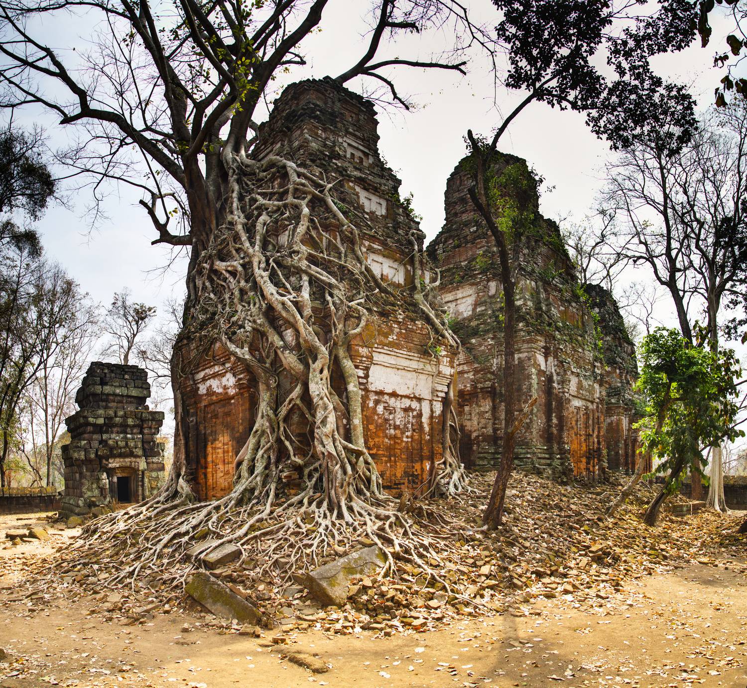 , Игорь Щербаков