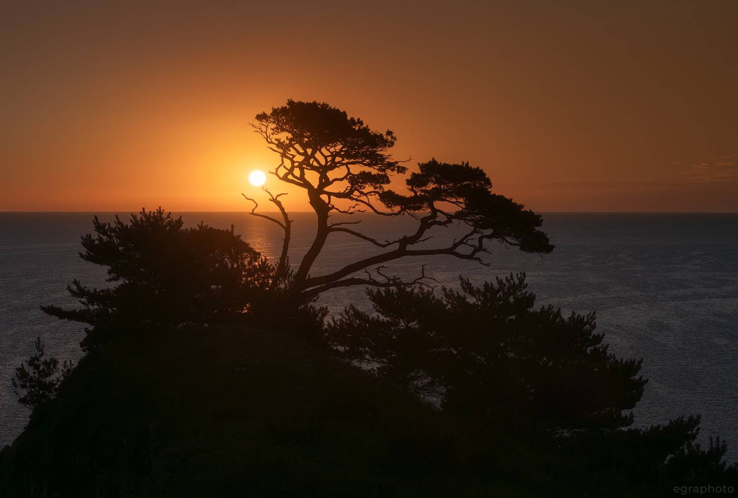 russia, primorye, primorsky krai, far east, россия, приморский край, приморье, дальний восток, японское море, japan sea, полуостров гамова, Рябенький Александр