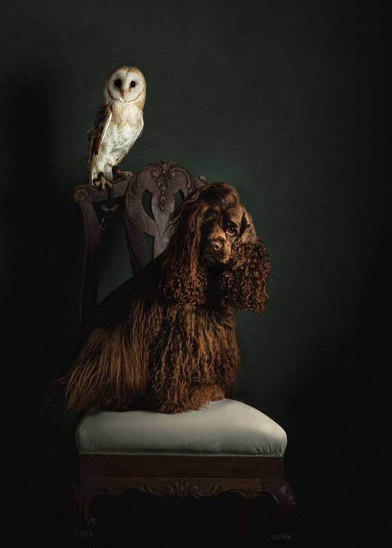 Maco y  Xena фото превью