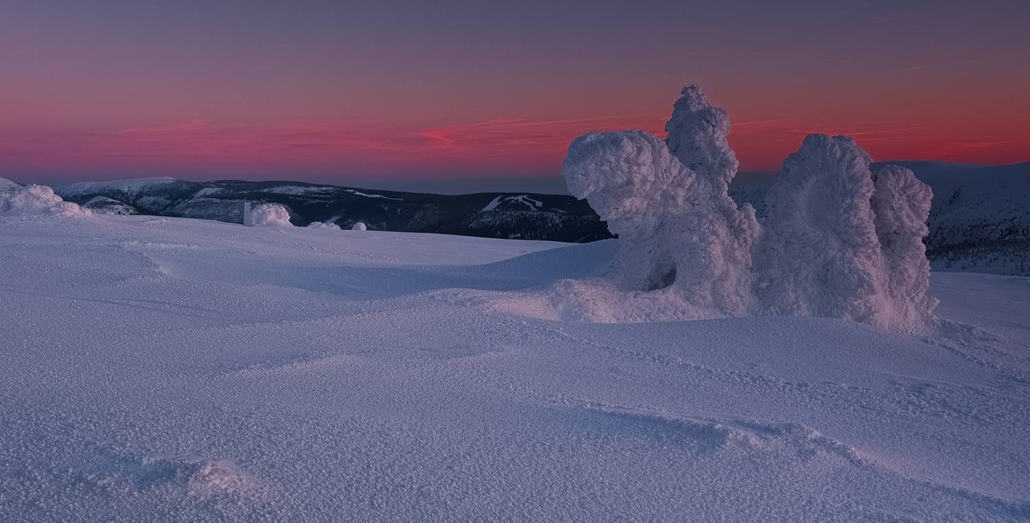 , Wojciech Tarnowski