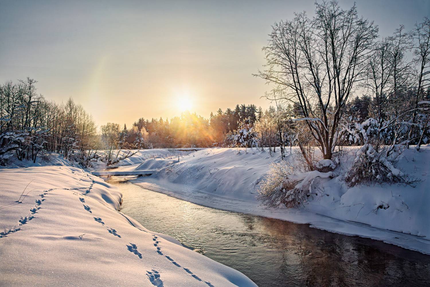 , Евгений Ерохин