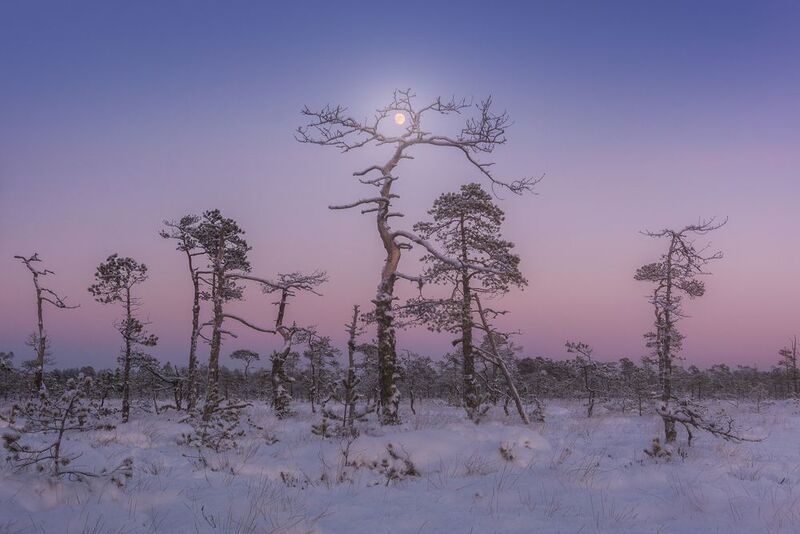 Лунный венец фото превью