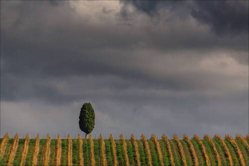 Символ вечности