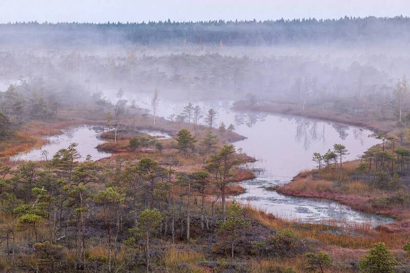 Туманное утро фото превью