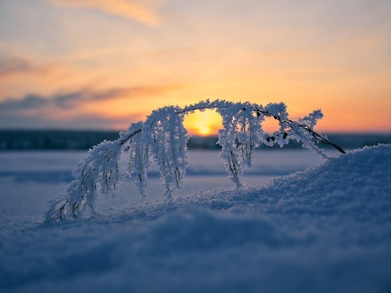 Мост фото превью